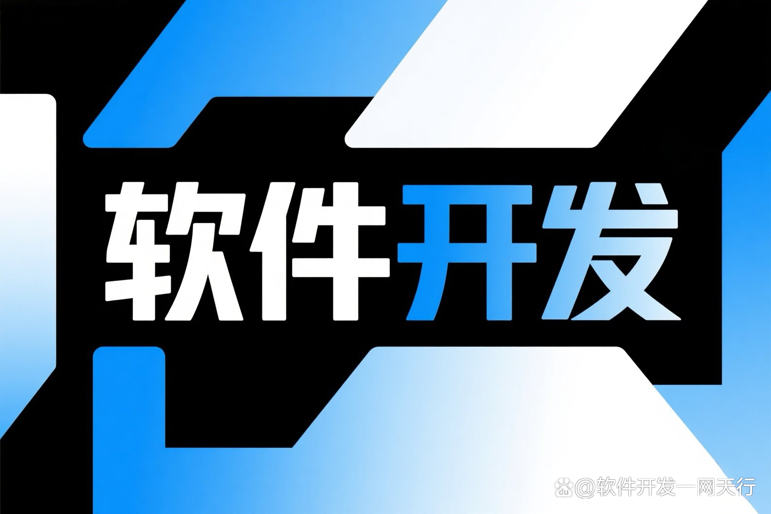 宠物服务软件定制开发费用解析 影响因素与服务模式选择